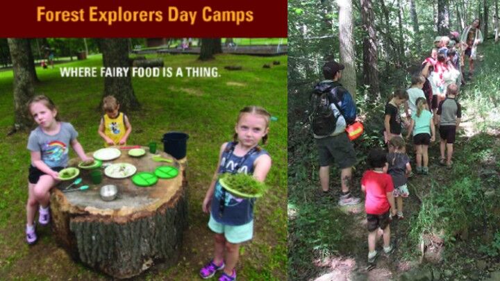 Touch of Nature Summer Camps 2022